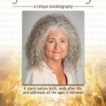 Cover How to Be the Hero of Your Own Life edited by wordservings